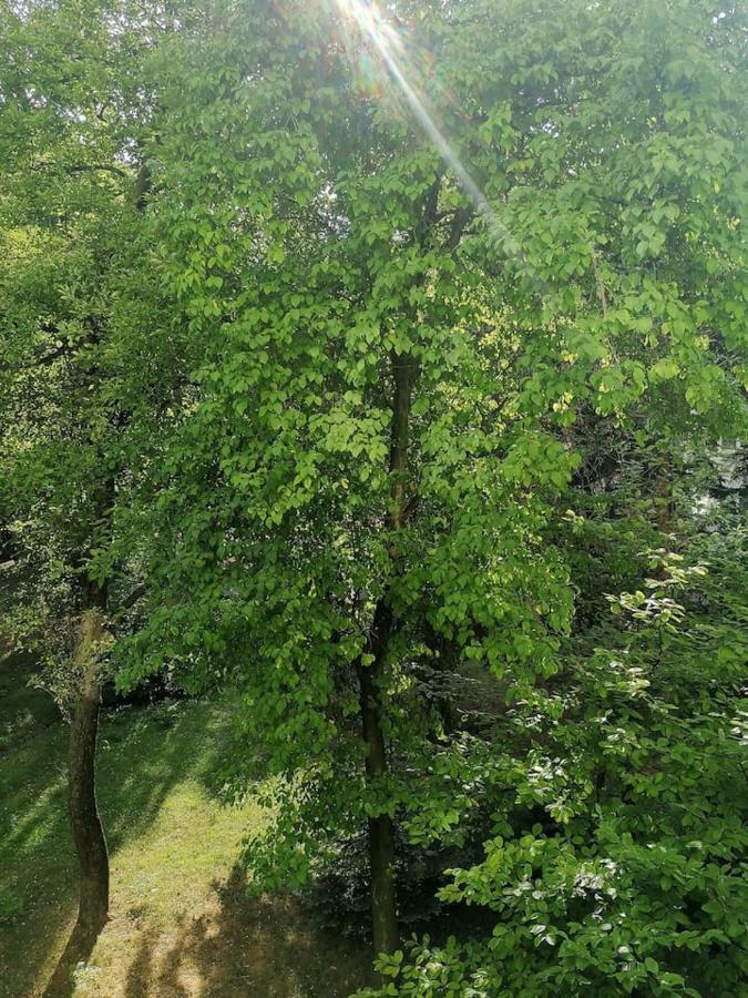 Sunny And Lovely Apartment. Near Chopin Airport! Варшава Экстерьер фото